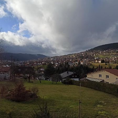 Chalet Du Nid D'Amour Gérardmer Kültér fotó
